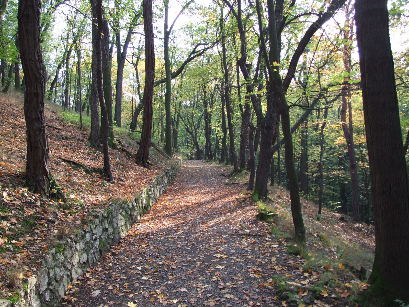 Podzimní lesopark Cibulka v Košířích